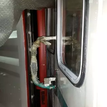 由青島港發(fā)往菲律賓的工程機械